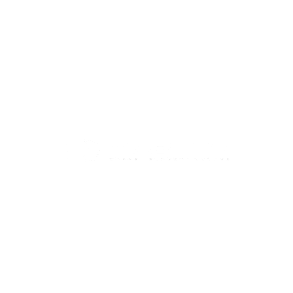 logo masterbrast